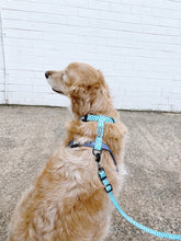 "Santorini" Adjustable Adventure Leash