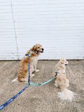 "Santorini" Adjustable Dual Lead Splitter