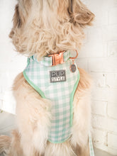 Sweet Apple Harness