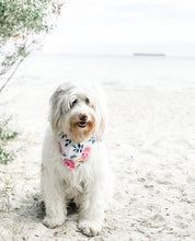 Fresh Blooms Bandana