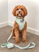 "Sweet Apple" Suburban Leash (Seconds)