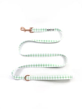 "Sweet Apple" Suburban Leash (Seconds)