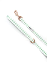 "Sweet Apple" Suburban Leash (Seconds)