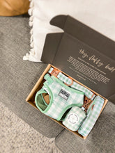 "Sweet Apple" Suburban Collar (Seconds)